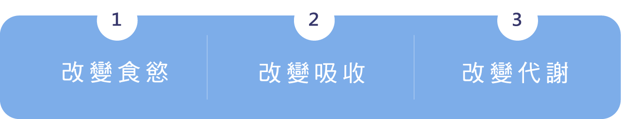 1.改變食慾，2.改變吸收，3.改變代謝