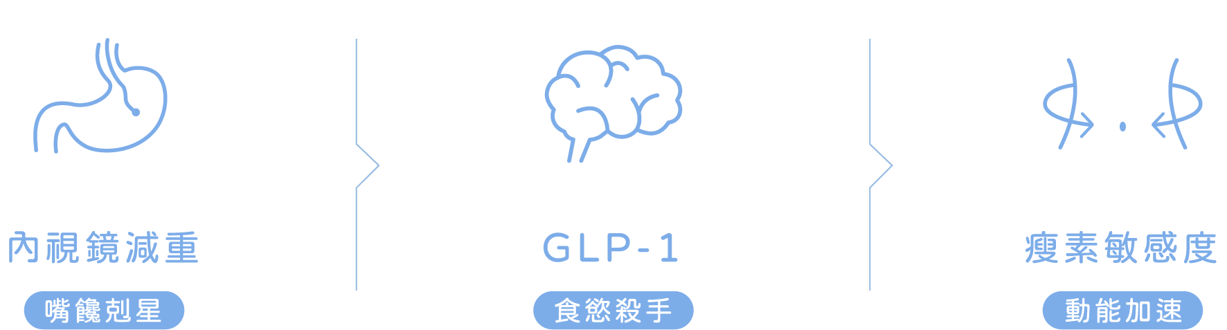 內視鏡減重-嘴饞剋星 GLP-1-食慾殺手 瘦素敏感度-動能加速
